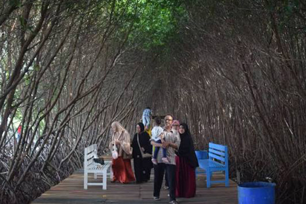 Paket Keluarga Bahari Patuguran