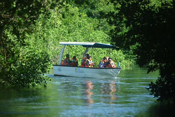 Paket Susur Mangrove Patuguran